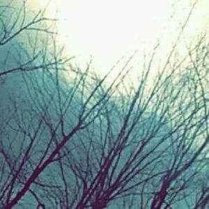 Meet your Posher, Candace